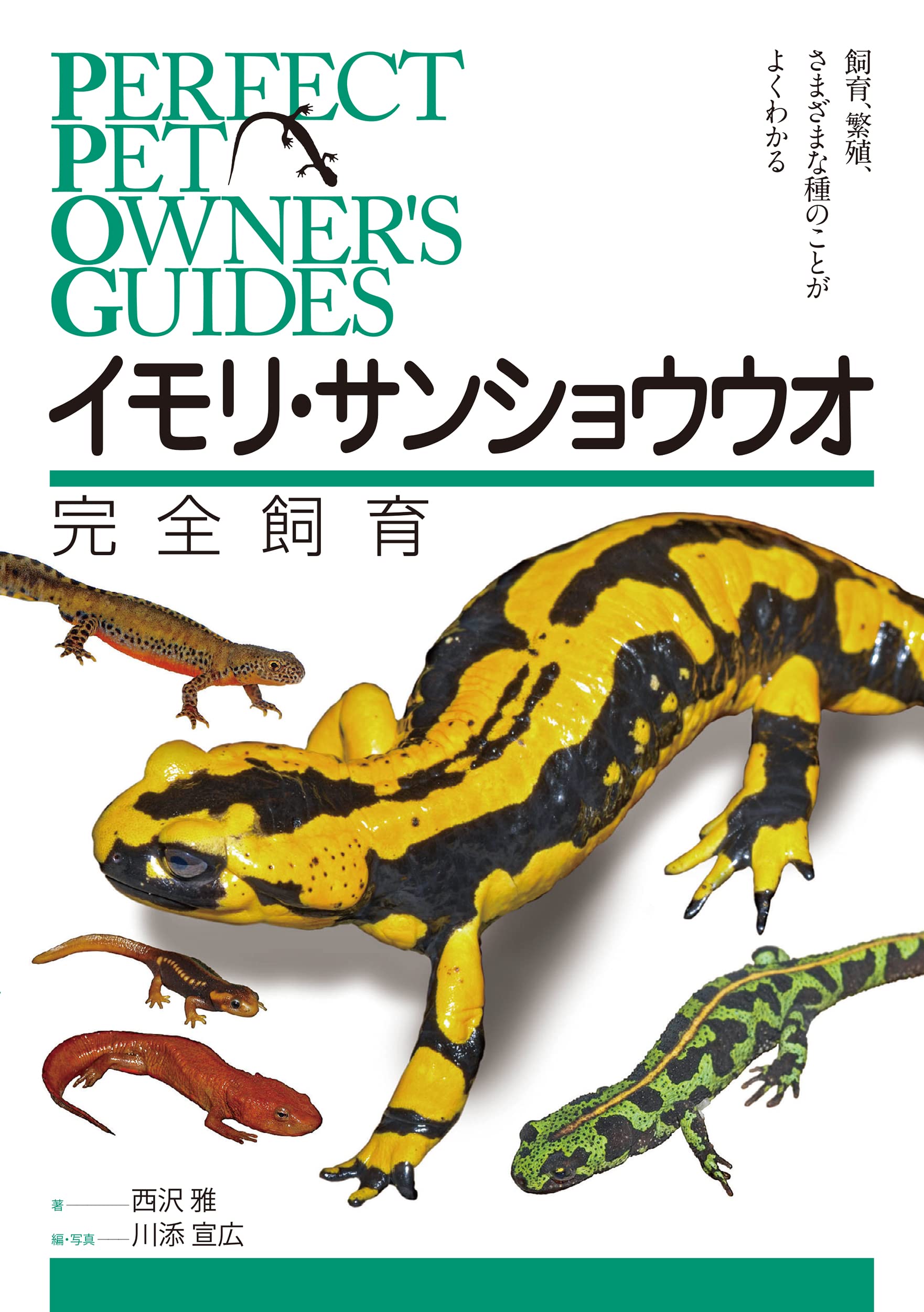 イモリ・サンショウウオ完全飼育　誠文堂新光社