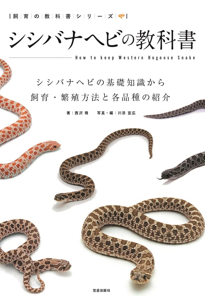 シシバナヘビの教科書　笠倉出版