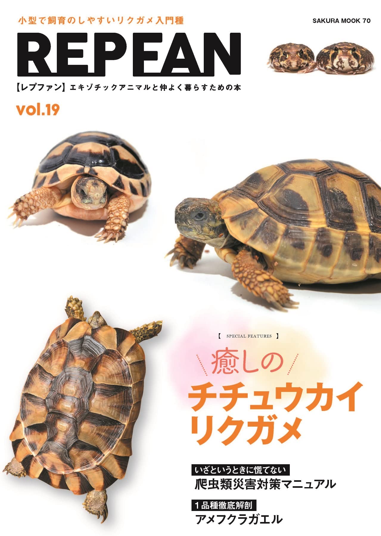 REP FAN レプファン Vol.19　癒しのチチュウカイリクガメ