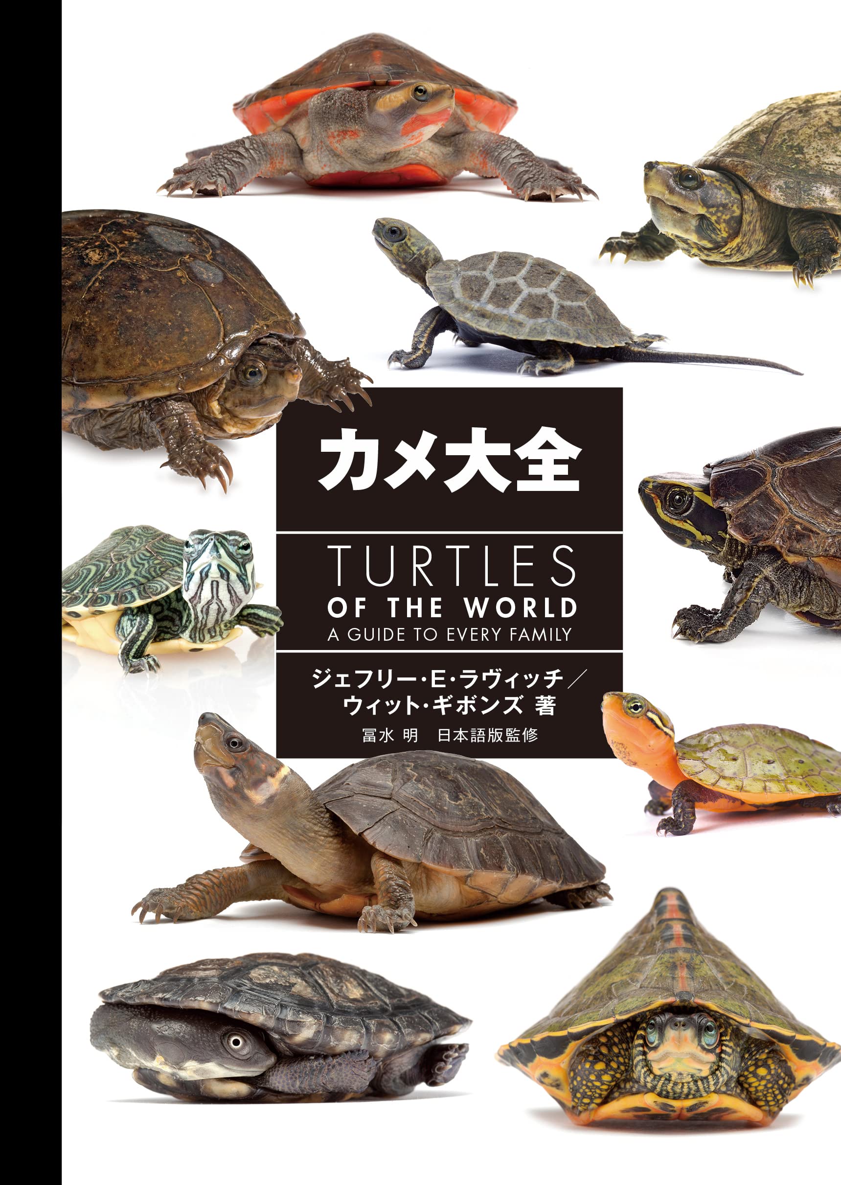 カメ大全 TURTLES OF THE WORLD