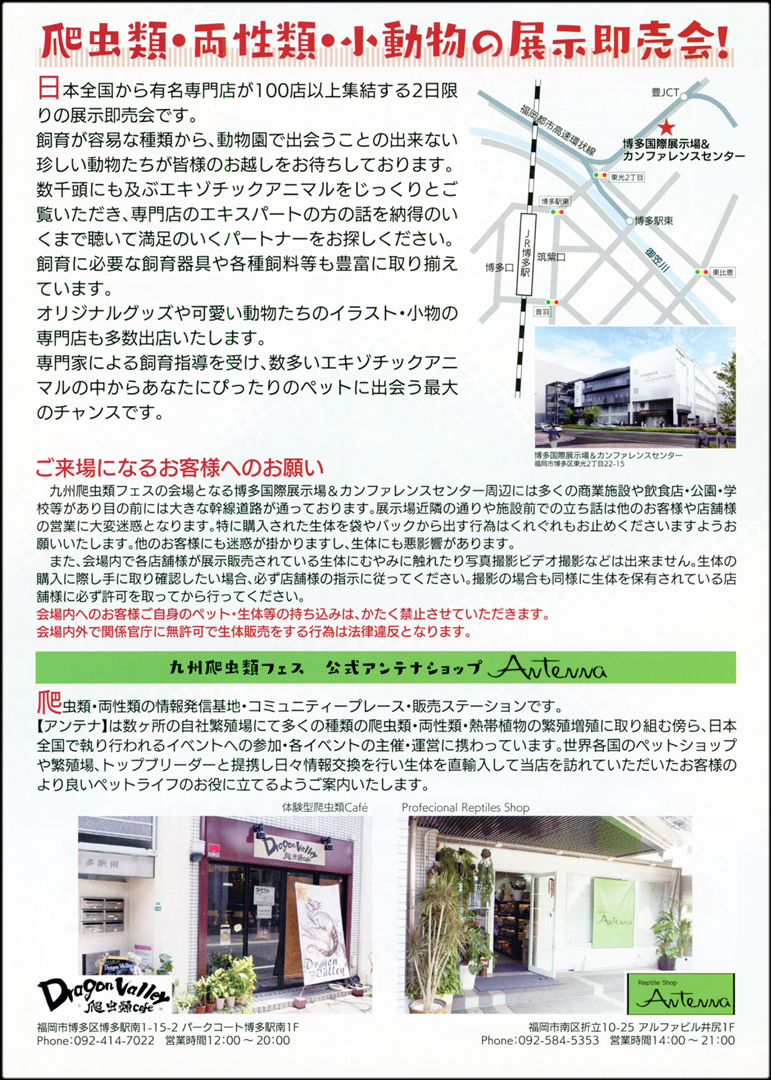 九州レプタイルフェスタ2023秋 (九レプ秋)　ビラ　裏面