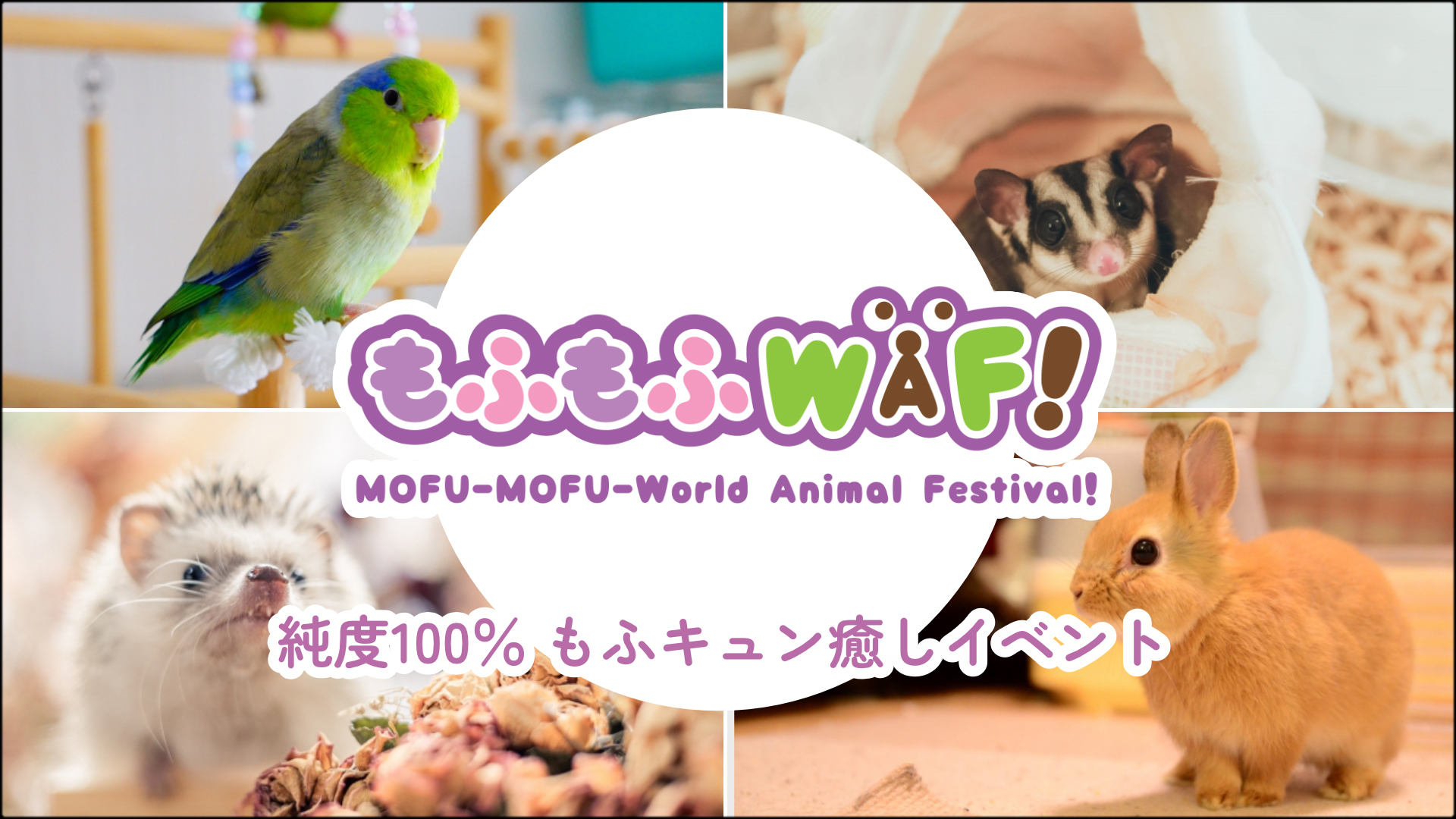 もふもふWAF! 