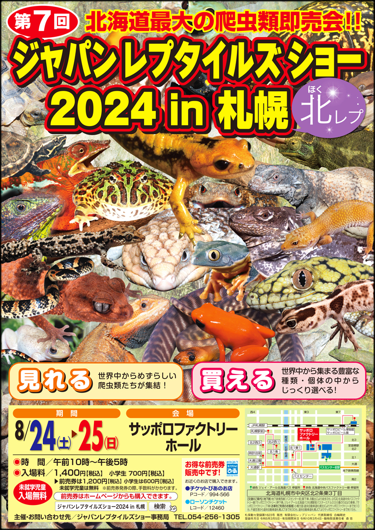 爬虫類　ドライシェルター　プチプチカラー 5 爬虫類 ドライシェルター プチプチカラー 5 （爬虫類のプロ