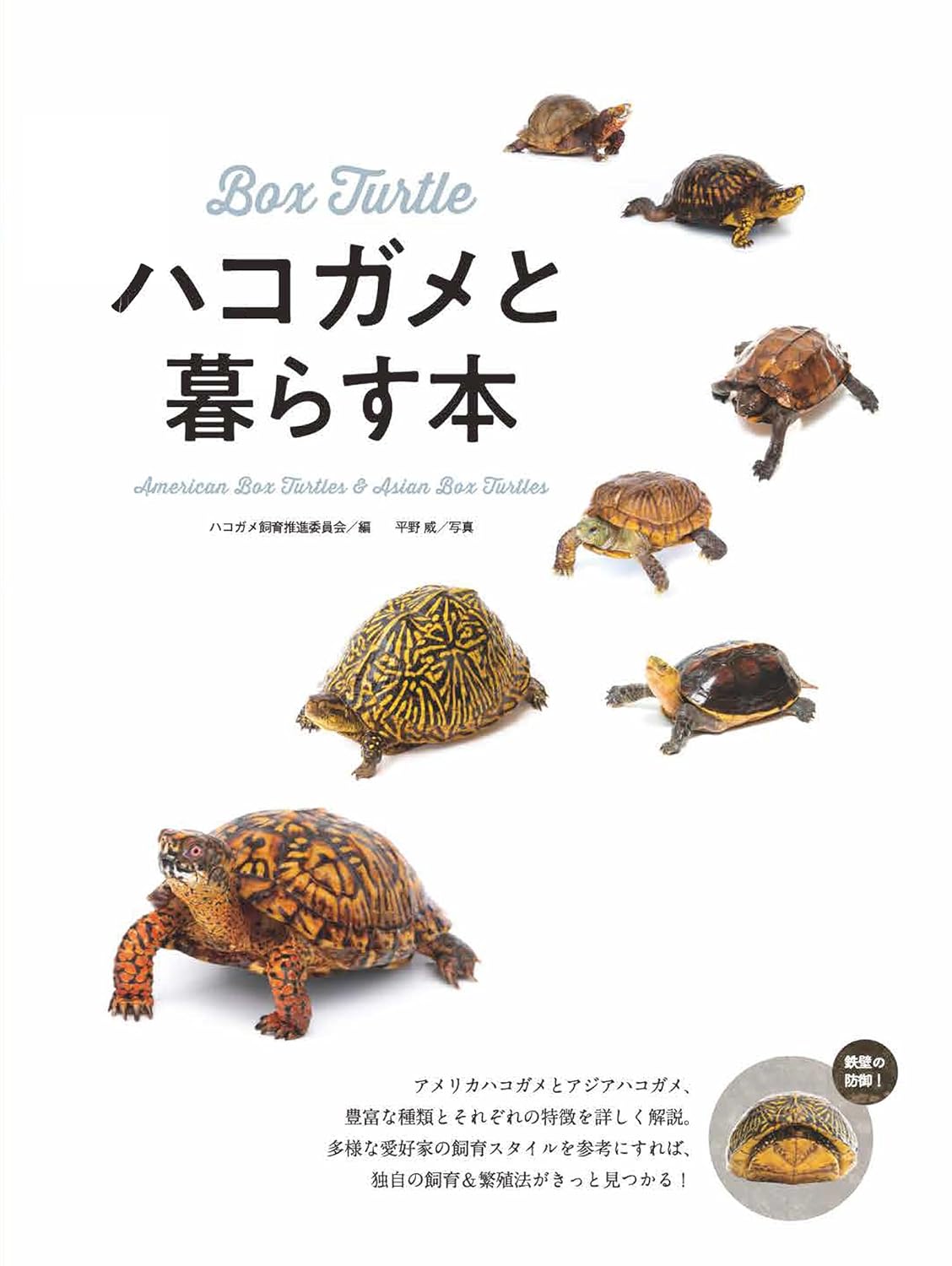 ハコガメと暮らす本　エムピージェー
