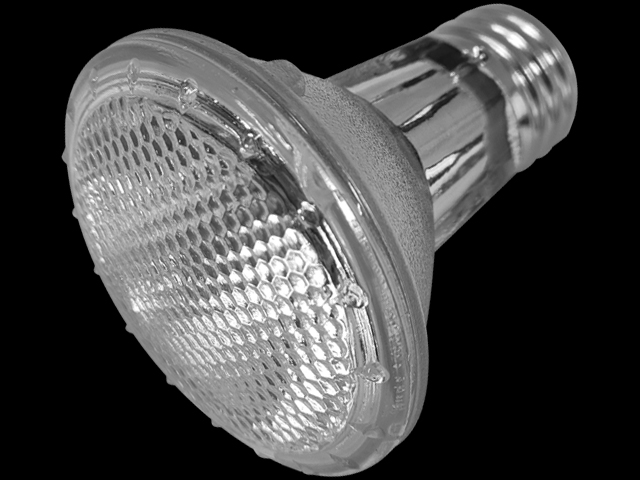 デイハロゲン42W　Vivaria(ビバリア)　爬虫類用防滴ハロゲン保温球