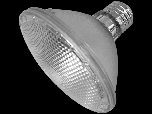 デイハロゲン66W　Vivaria(ビバリア)　爬虫類用防滴ハロゲン保温球