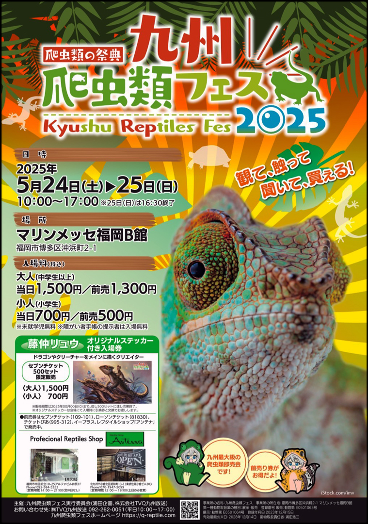 九州爬虫類フェス 九レプ