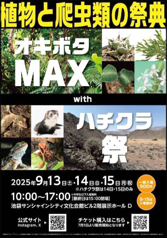 オキボタMAX with ハチクラサイ　2025　会場マップ　サンシャイン爬虫類イベント