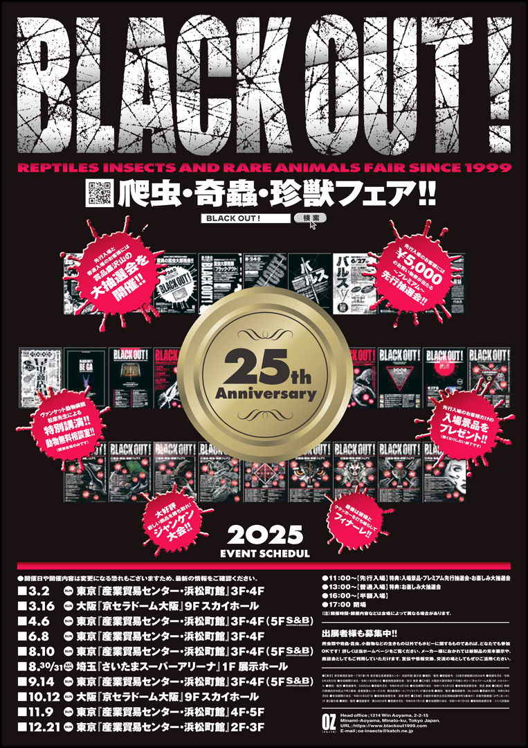 ブラックアウト！