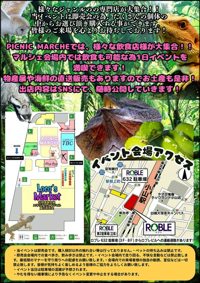 Loco's Market (ロコズマーケット) 冬　2025　パンフレット裏面