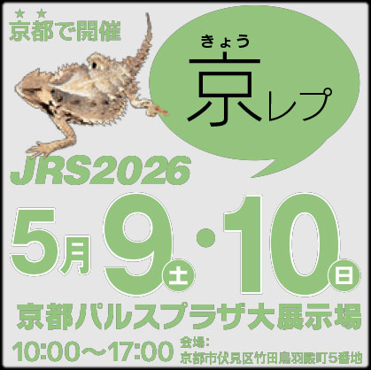 ャパンレプタイルズショー in 京都 2025春 京レプ