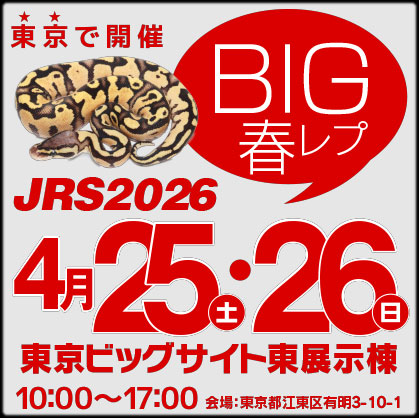 ジャパンレプタイルズショーin東京2026 春 BIG春レプ2026