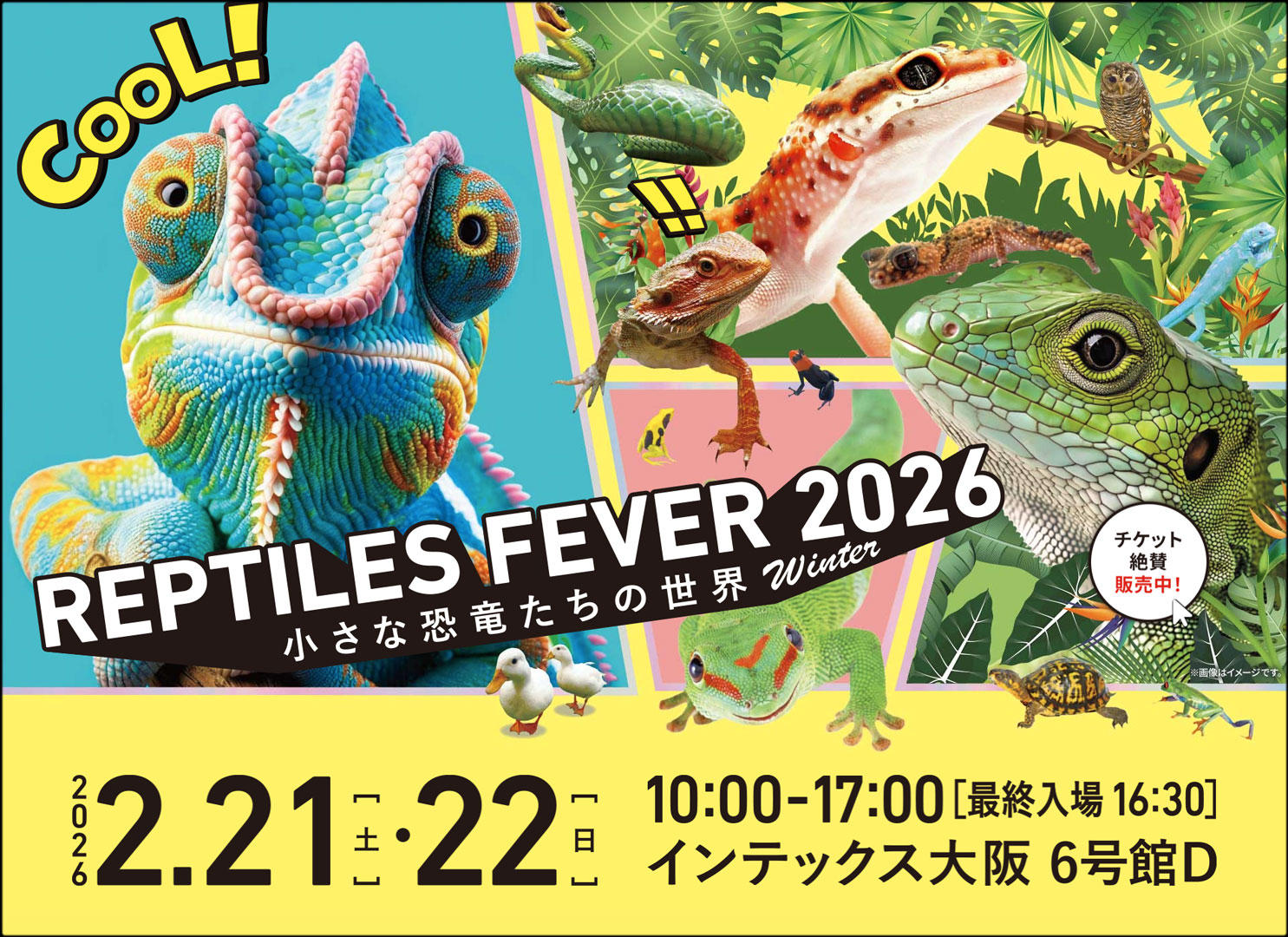 レプタイルズフィーバー2026 ウインター
