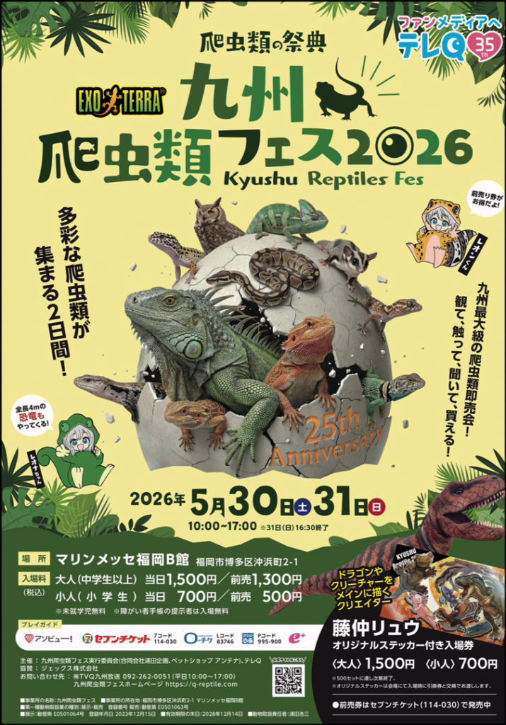 ボールパイソン ハイオレンジドリーム オス - 爬虫類ショップ Wild Monster